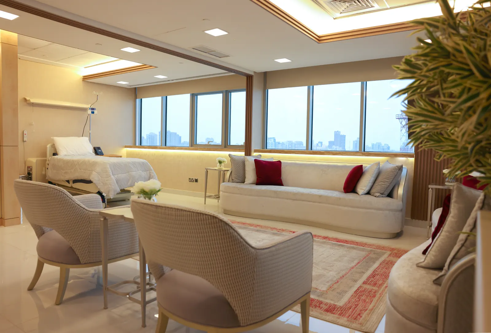 奶油白 · 床旁会客